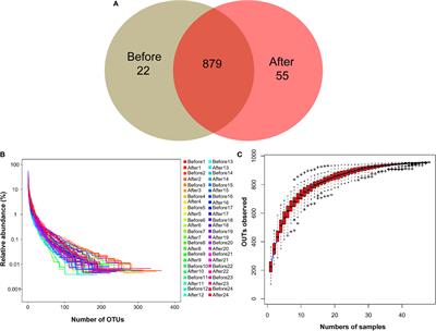 Six-Week Exercise Training With Dietary Restriction Improves Central Hemodynamics Associated With Altered Gut Microbiota in Adolescents With Obesity